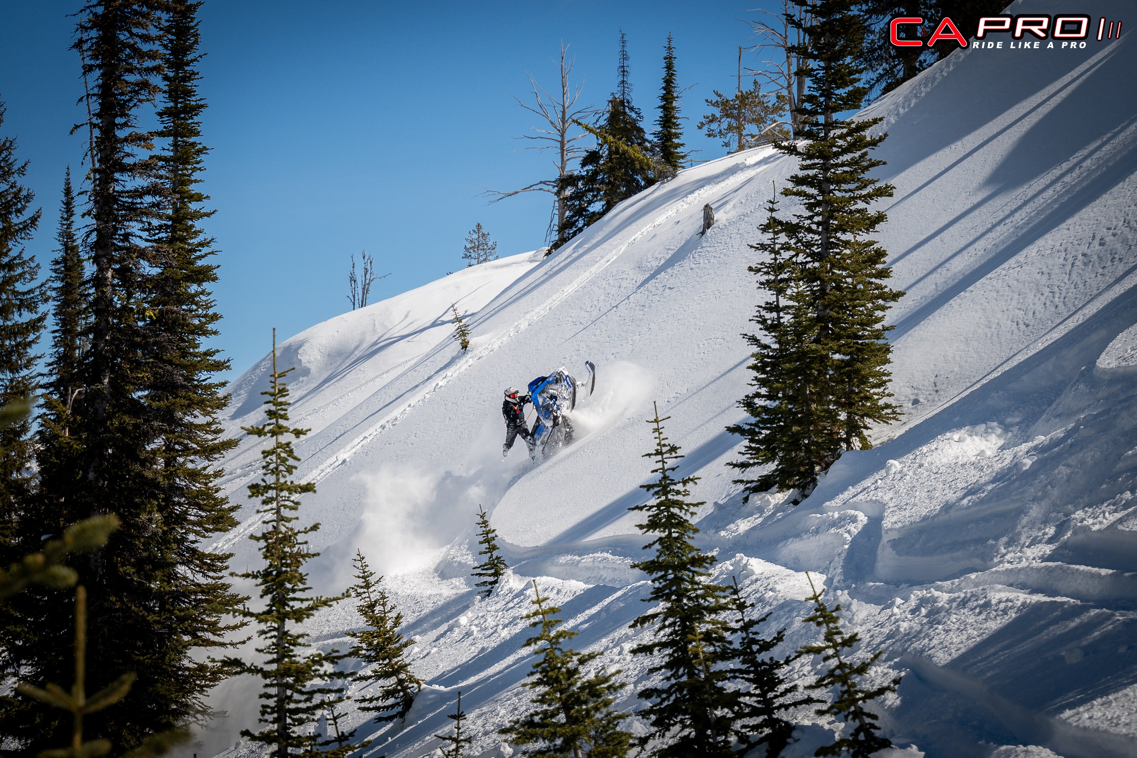 C&A Pro Releases New TMX Technical Mountain Riding Snowmobile Ski