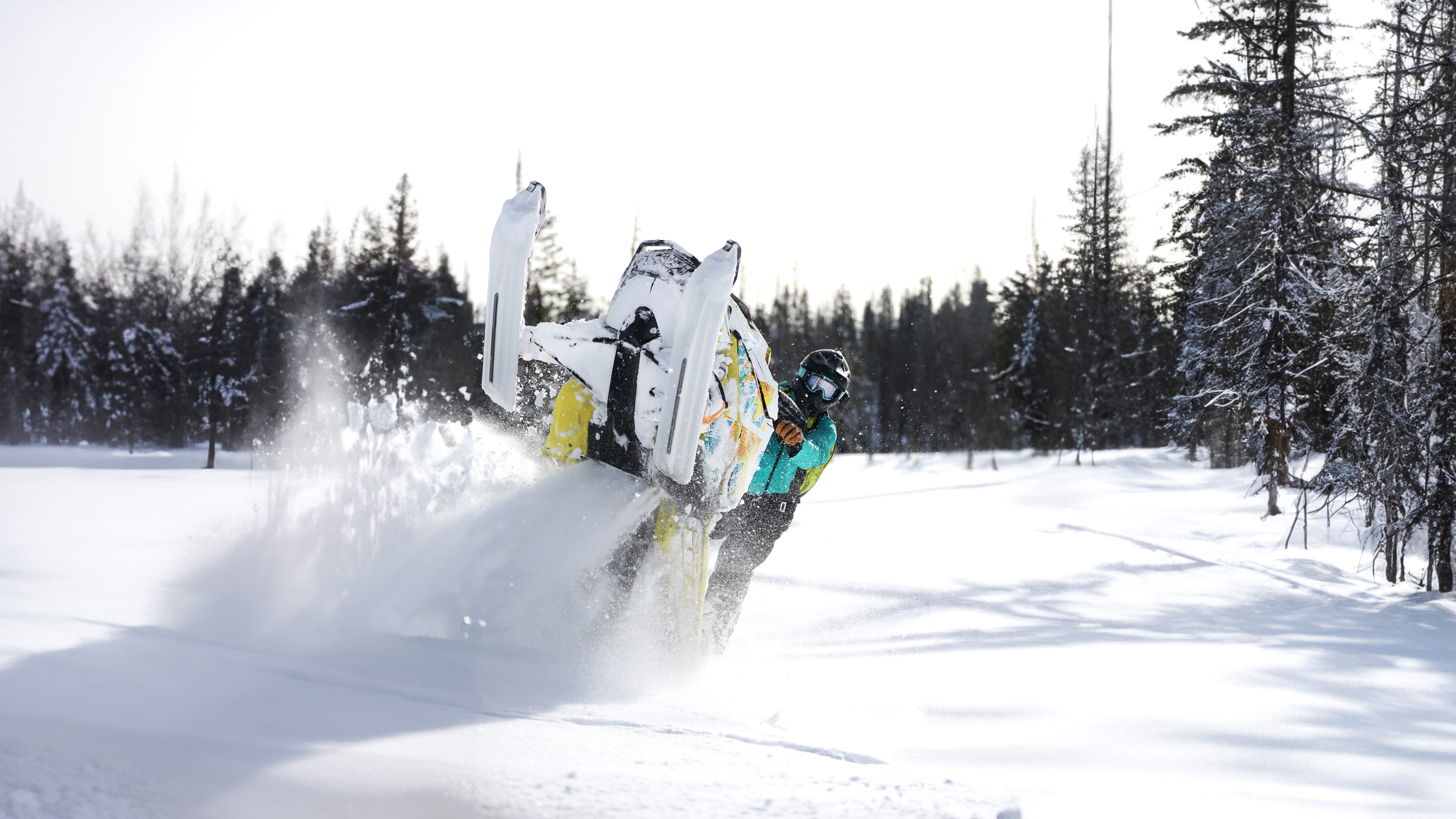 Backcountry snowmobiler doing a wheelie with white C&A Pro mountain skis