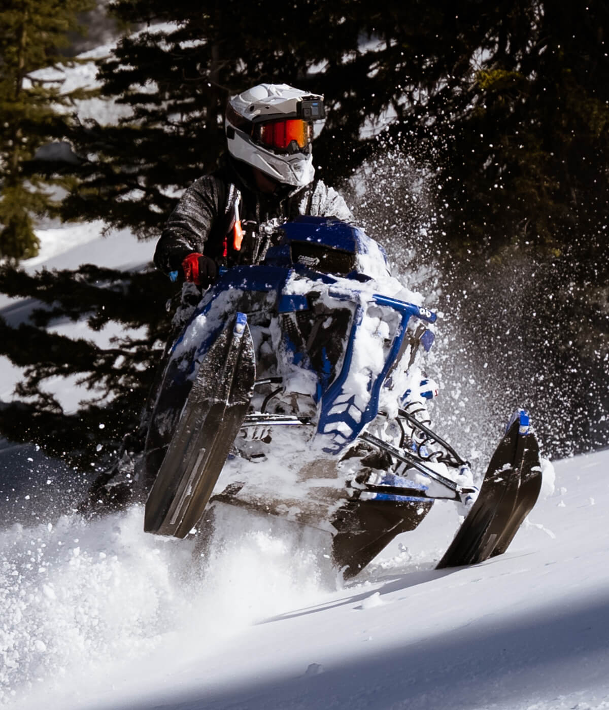 Rider on a snowmobile in the mountains with black TMX C&A Pro mountain skis with blue handles